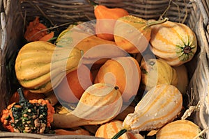 Autumn Decoration pumpkins