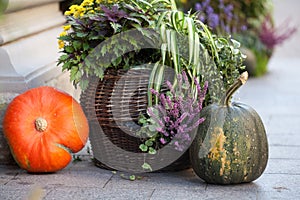 Autumn decoration with pumpkins and flowers on a street in a European city
