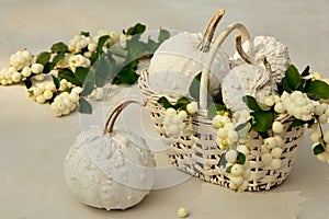 Autumn decoration with white pumpkins and snow berry branches