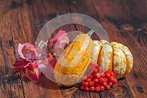 Autumn decorations: colorful pumpkins, berries and leaves