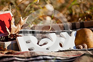 Autumn decorative composition with word `baby`.