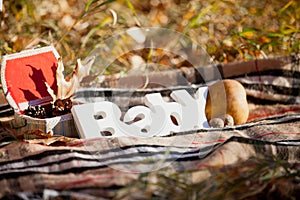 Autumn decorative composition with word `baby`.