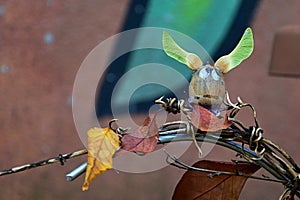 Autumn decorative owl figure made of acorn with painted eyes and large ears made of maple winged seeds called samaras