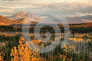 Autumn in Denali national Park at sunset
