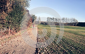 Autumn in Denmark road thrugh green meadow photo