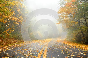 Autumn on Deserted Roadway photo