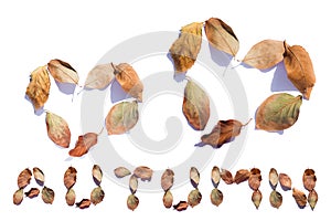 Autumn design element. Fall leaves on a white background in the shape of a hearts with text