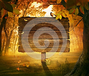 Autumn design - Forest sign