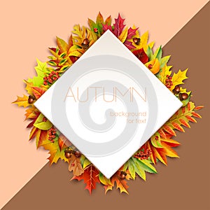 Autumn diamond-shaped frame for text decorated with foliage