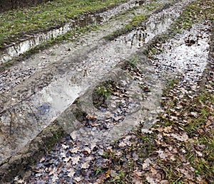 Autumn dirt on the road