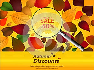 Autumn discounts landscape