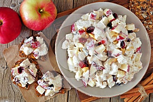 Autumn dish with chicken, apples, nuts, cranberries, on crackers