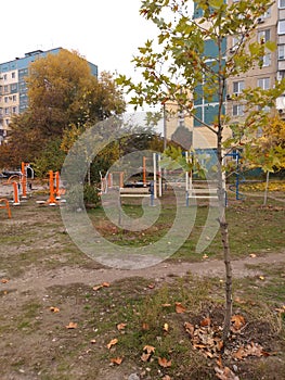 autumn Dnipro Donetske shose trees park