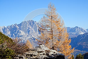 Autumn Dolomites mountain rocky view, Sudtirol, Italy