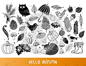 Autumn doodle collection. Fall illustration. Set of autumn design elements. Umbrellas, leaves, mushrooms, forest animals