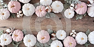 Autumn double border banner of dusty rose and white pumpkins with silver leaves and cotton flowers on a light wood background