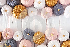Autumn double border of dusty rose, white, gold and gray pumpkins on a white wood background