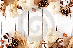 Autumn double border of white pumpkins with brown fall decor on a white wood background