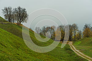 Autumn dreary forest landscape. Fallen leaves from trees in the park. View of a green park in the city, with tall trees and paths