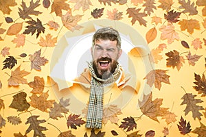 Autumn Dress. Portrait of autumn man. Space for your text. Stylish bearded man. November background. Men fashion autumn