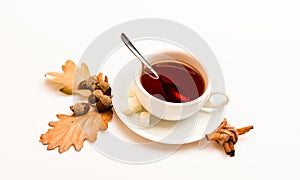 Autumn drink concept. Drink and acorn and oak leaves. Tea served with spoon, sugar and decor as cinnamon. Mug filled
