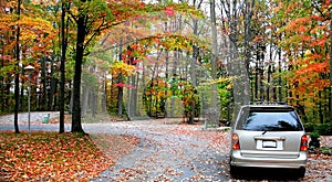 Autumn Drive photo
