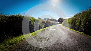 Autumn drive through serene forest lane