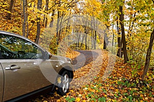 Autumn driving