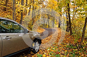 Autumn driving photo