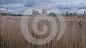 Autumn dry grass on the outskirts of the city against the background of the new residential