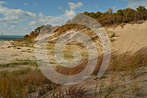 Autumn in the Dunes in Warren Dunes State Park