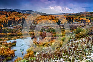 Autumn Dusting