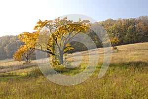 Autumn in Eastern Austria