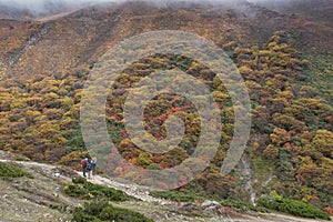 Autumn in EBC trekking route. Nepal.