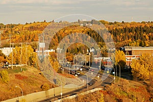 Autumn edmonton