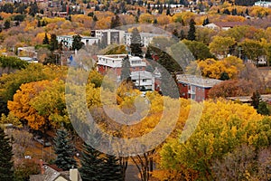 Autumn edmonton