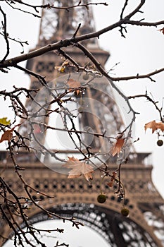 Autumn at the Eiffel Tower in the rain in Paris