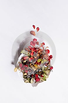Autumn elegant background with red dried berries and leaves rose hip  in leaf bowl in sunshine with shadow on soft light white.
