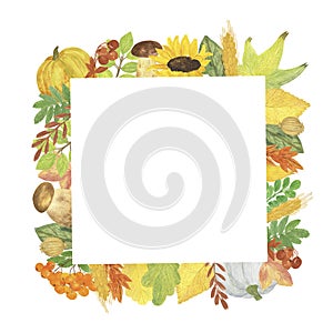 Autumn element arrangement, pumpkin, poppy, sunflower, forest mushroom multicolored green, orange, yellow leaves seasonal fall