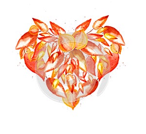 Autumn element for design, heart shape: orange, yellow and red watercolor leaves and small drops on white background