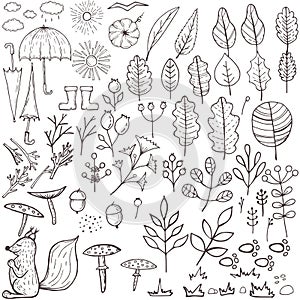Autumn elements set, floral hand draw designs. Botanic vector stock illustration, EPS 10.