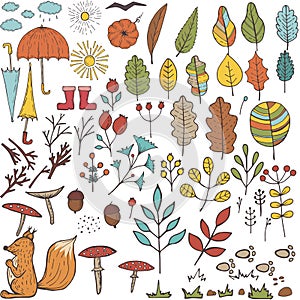 Autumn elements set, floral hand draw designs. Botanic vector stock illustration, EPS 10.