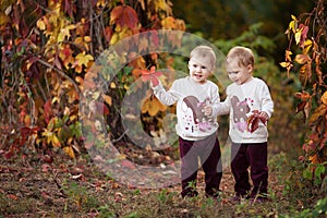 Autumn emotional portrait of little twin girls. Pretty little girls with red grape leaves in autumn park. Autumn activities for