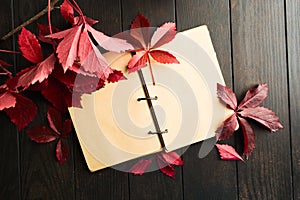 Autumn empty diary with red fresh natural leaves over dark wooden background. Copy space. Flat lay