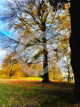 Autumn in the English countryside