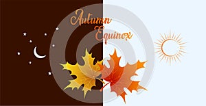 Autumn equinox vector illustration. September 22. Concept design with maple leafs in darker and lighter color