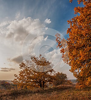 An autumn evening