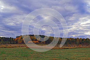 Autumn evening by the forest edge