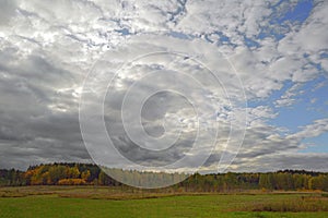 Autumn evening by the forest edge