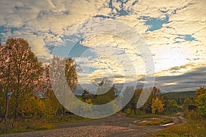 Autumn evening by the forest edge